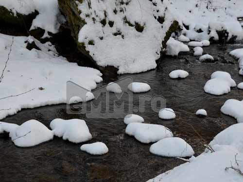 Foto Pernite de omat (c) Lucian Petru Goja